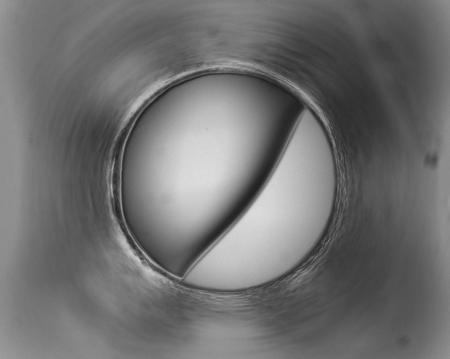 X0000113291007200909141000