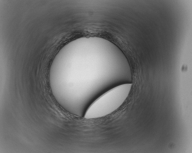 X0000113291009200909140959