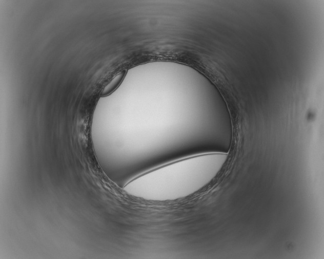 X0000113291010200909140959