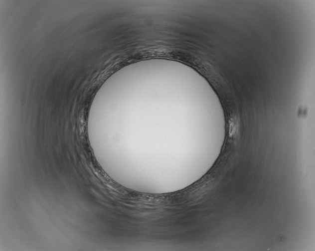 X0000113291011200909140959