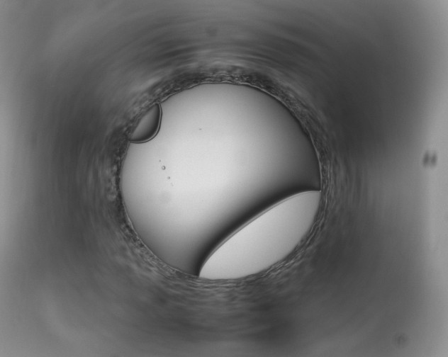 X0000113291013200909140959