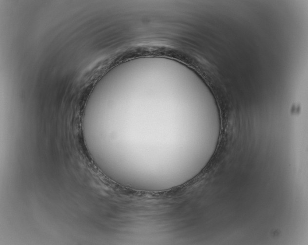 X0000113291014200909140959