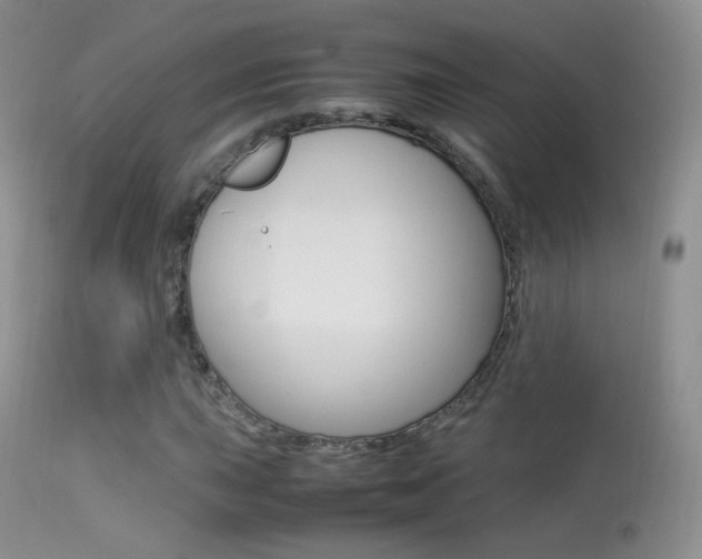 X0000113291015200909140959