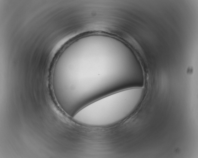 X0000113291020200909140959