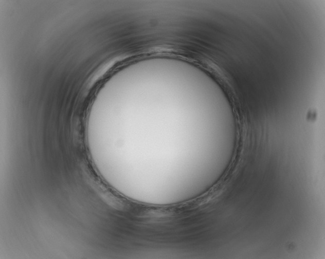 X0000113291023200909140959
