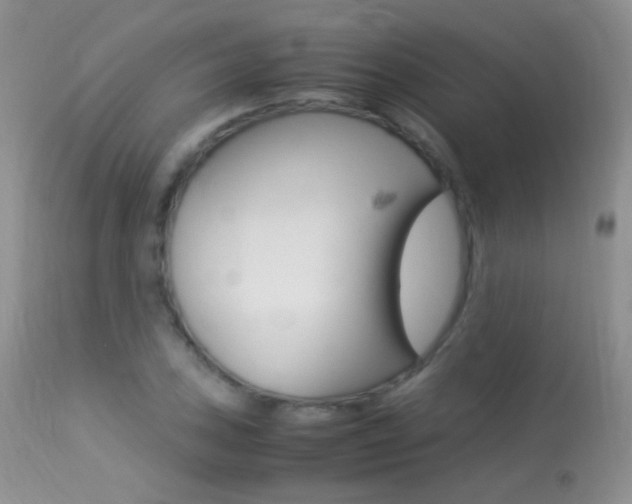 X0000113291027200909140959