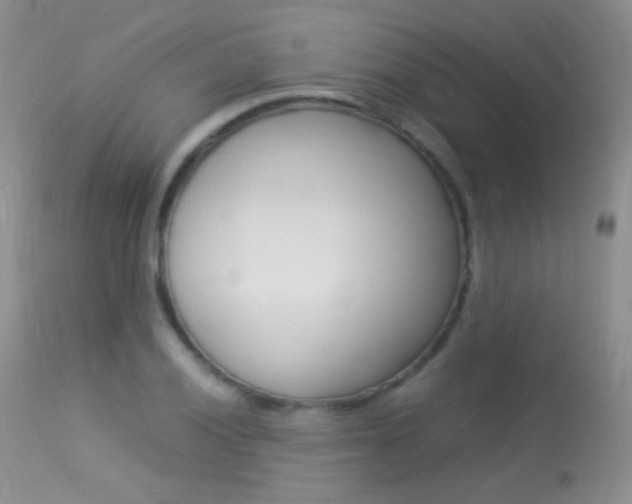 X0000113291028200909140959