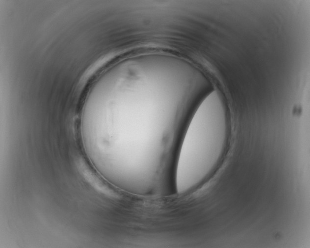 X0000113291029200909140959