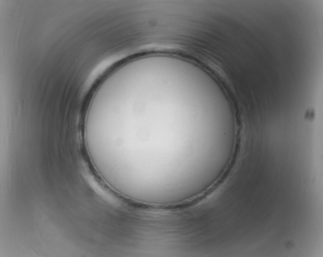 X0000113291030200909140959