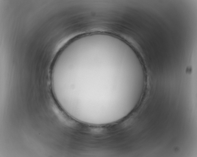 X0000113291031200909140959