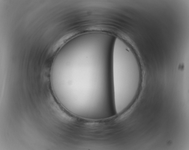 X0000113291033200909141000