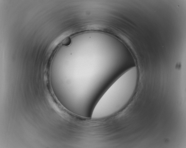 X0000113291034200909141000