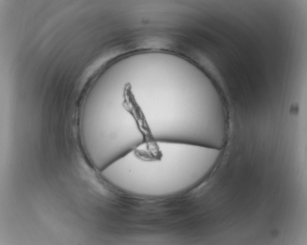 X0000113291035200909141000