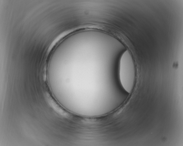 X0000113291036200909141000