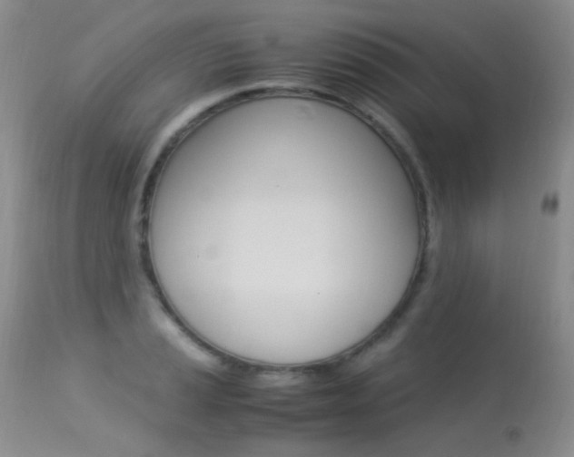 X0000113291037200909141000