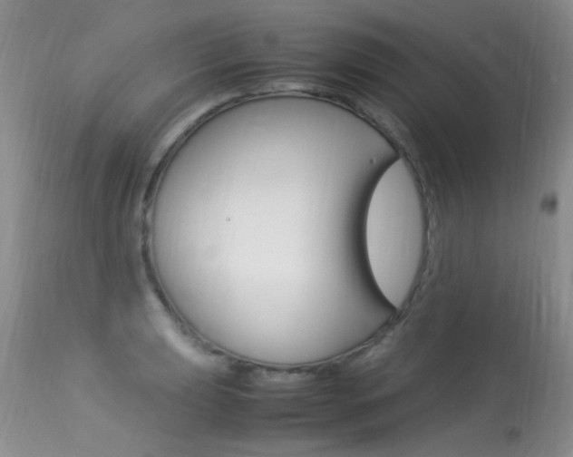 X0000113291039200909141000