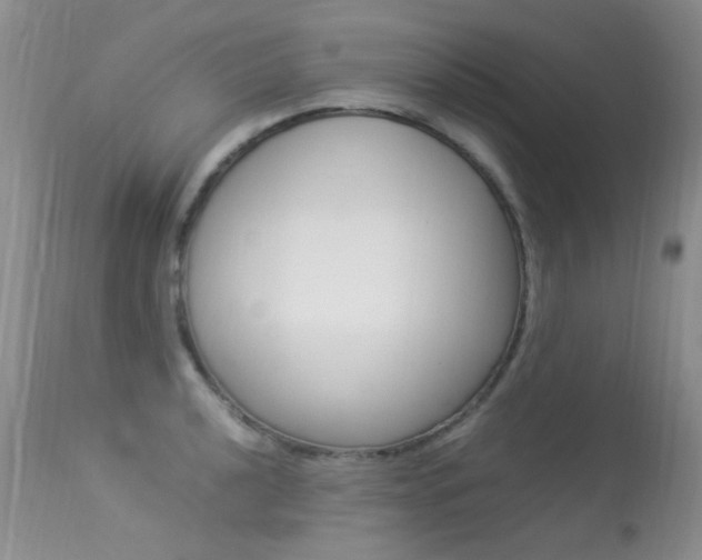 X0000113291040200909141000