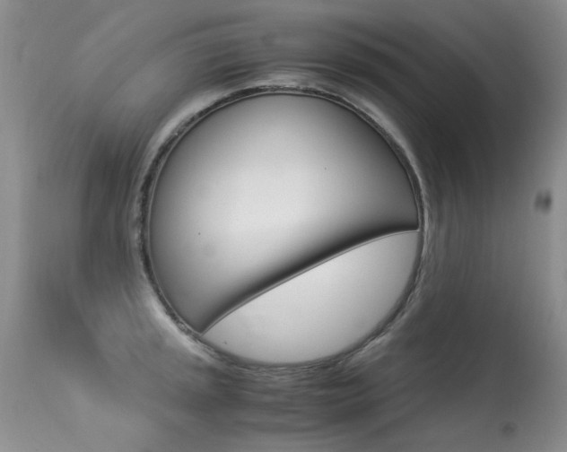 X0000113291045200909141000