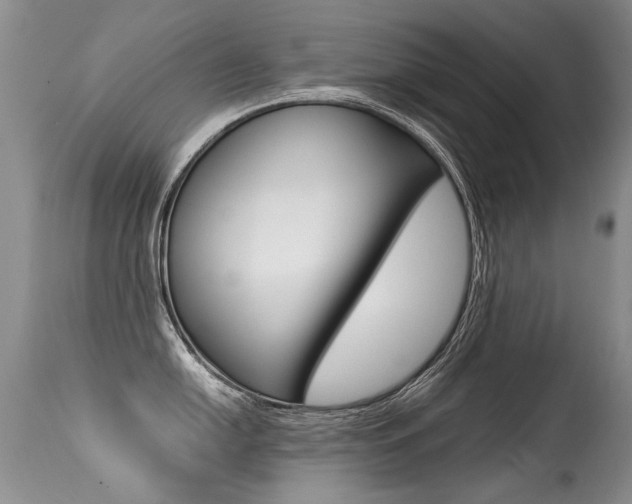 X0000113291054200909141000