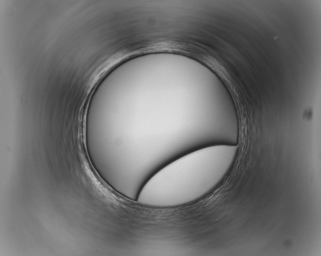 X0000113291055200909141000