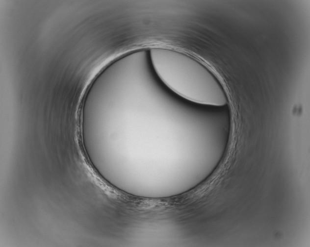 X0000113291056200909141000