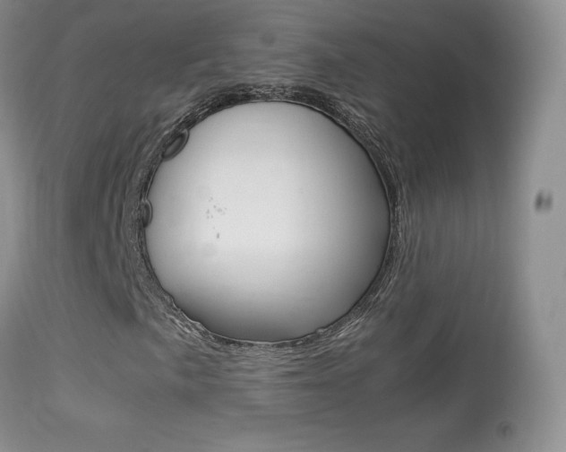 X0000113291057200909140959