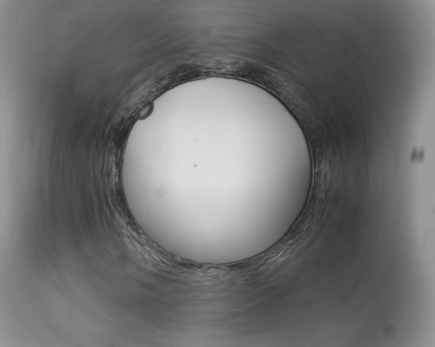 X0000113291058200909140959