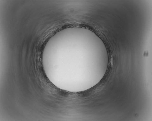 X0000113291059200909140959