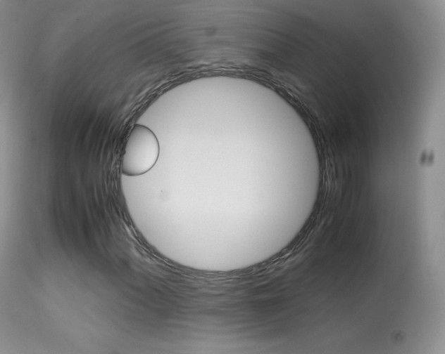 X0000113291060200909140959