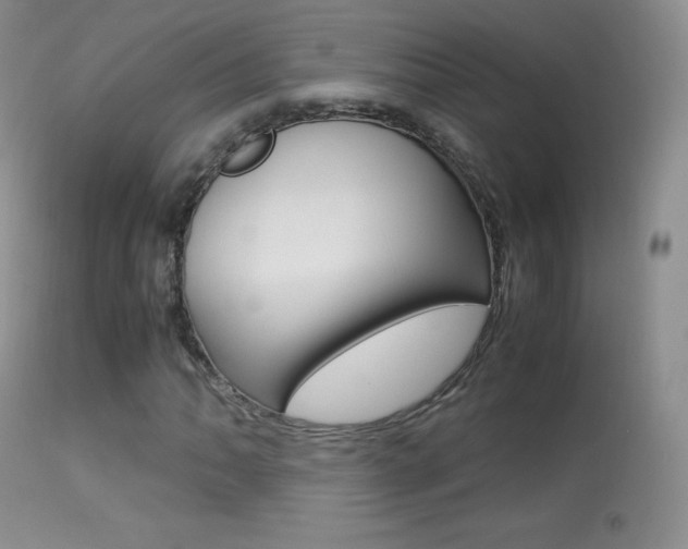X0000113291062200909140959