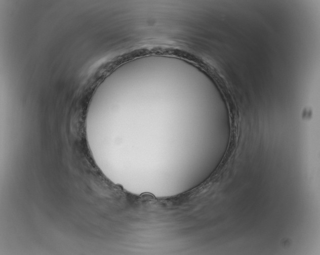 X0000113291063200909140959