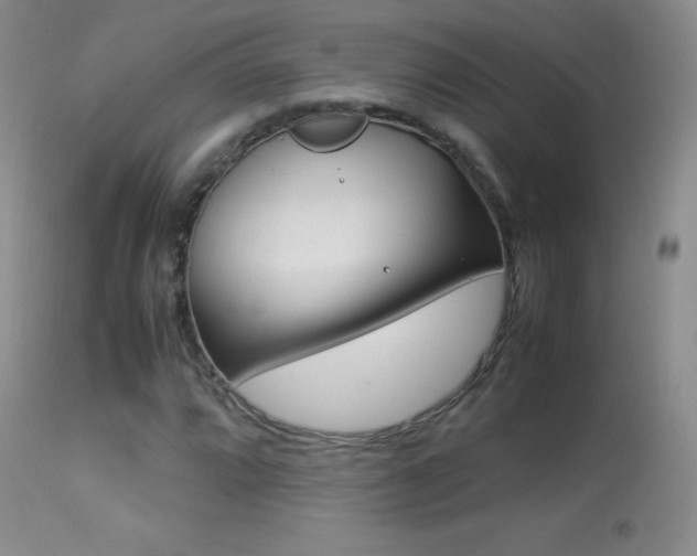 X0000113291064200909140959