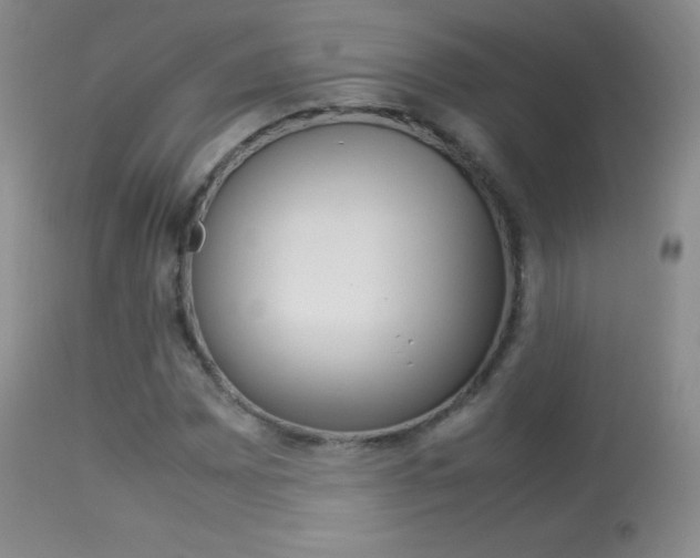 X0000113291065200909140959