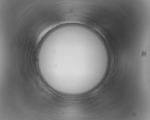X0000113291069200909140959