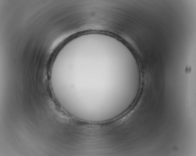 X0000113291070200909140959