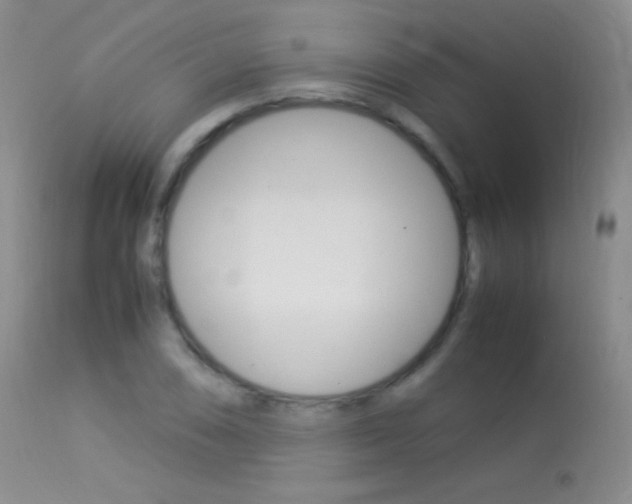 X0000113291074200909140959