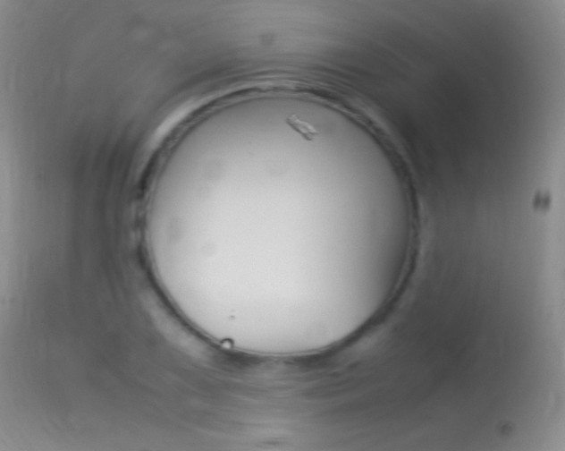 X0000113291075200909140959