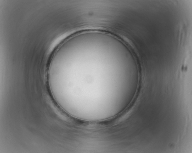 X0000113291077200909140959