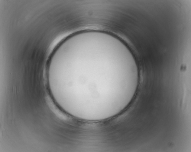 X0000113291078200909140959