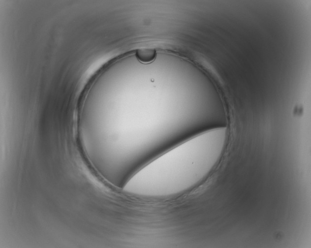 X0000113291079200909140959