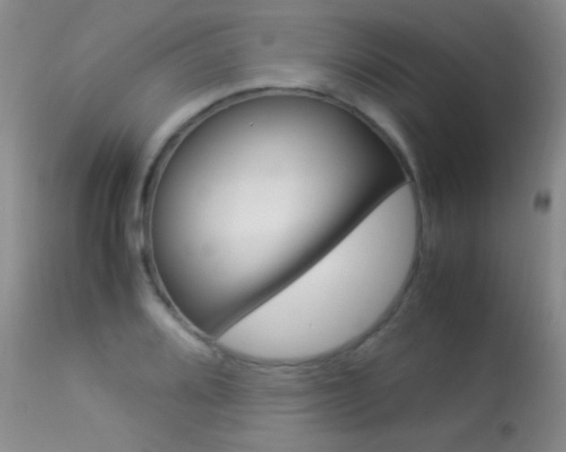 X0000113291080200909140959