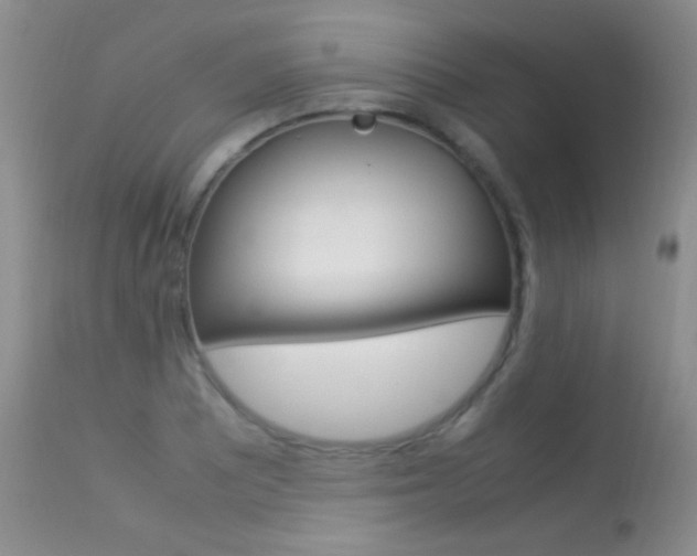 X0000113291081200909140959