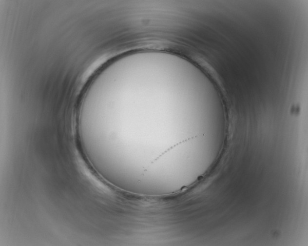 X0000113291083200909140959