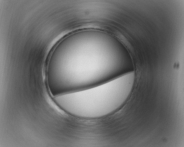 X0000113291084200909140959