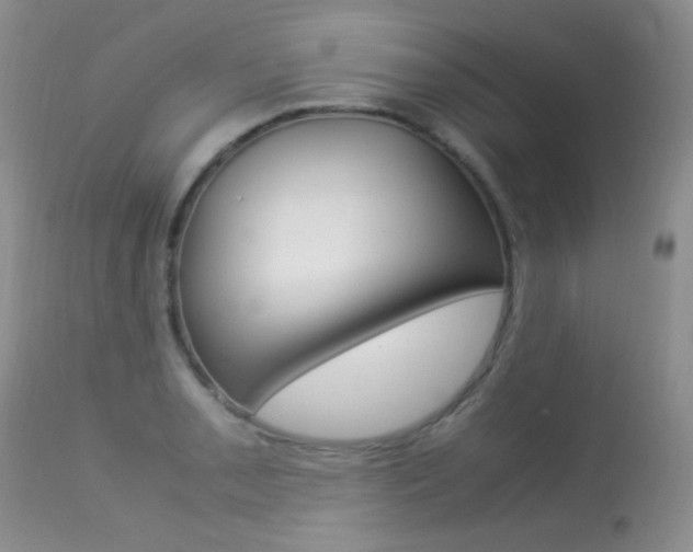 X0000113291085200909140959