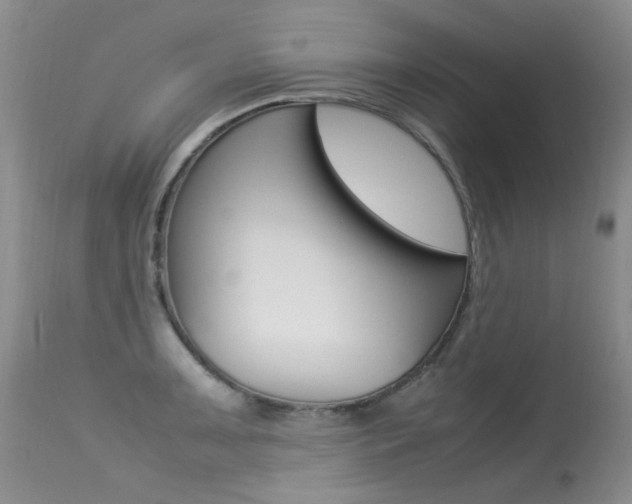 X0000113291091200909140959