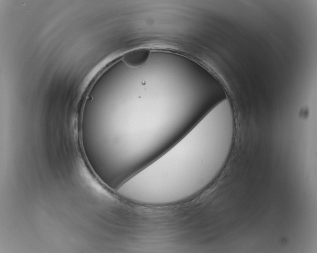 X0000113291092200909140959