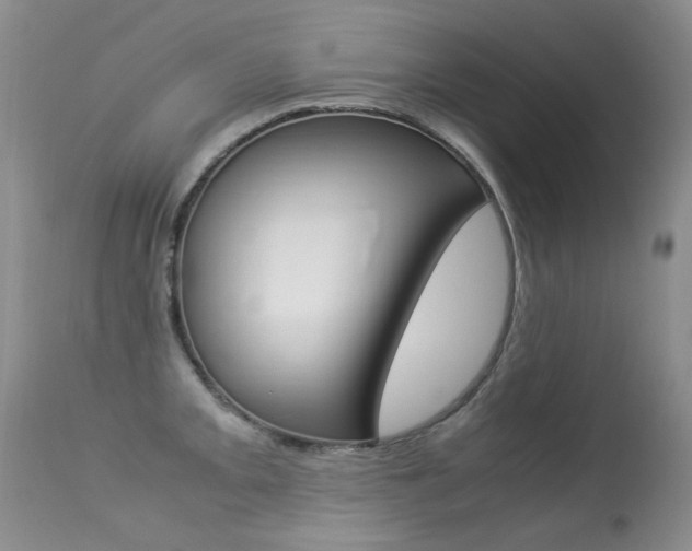 X0000113291093200909140959