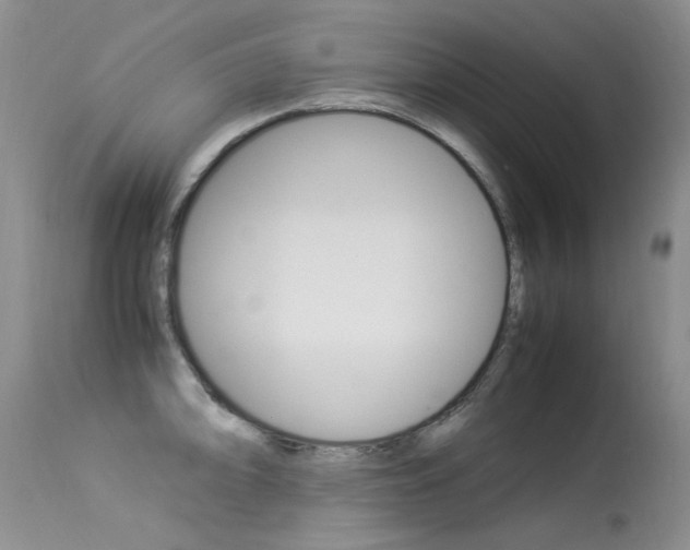 X0000113291094200909140959
