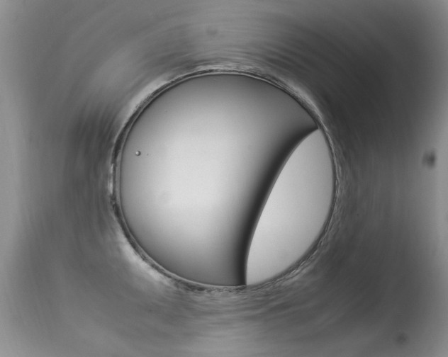 X0000113291095200909140959